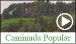 Caminada pels Boscos de Valls